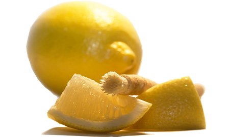 Siwak Miswak s příchutí citrónu